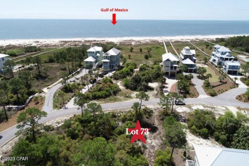 443 Jubilation Drive