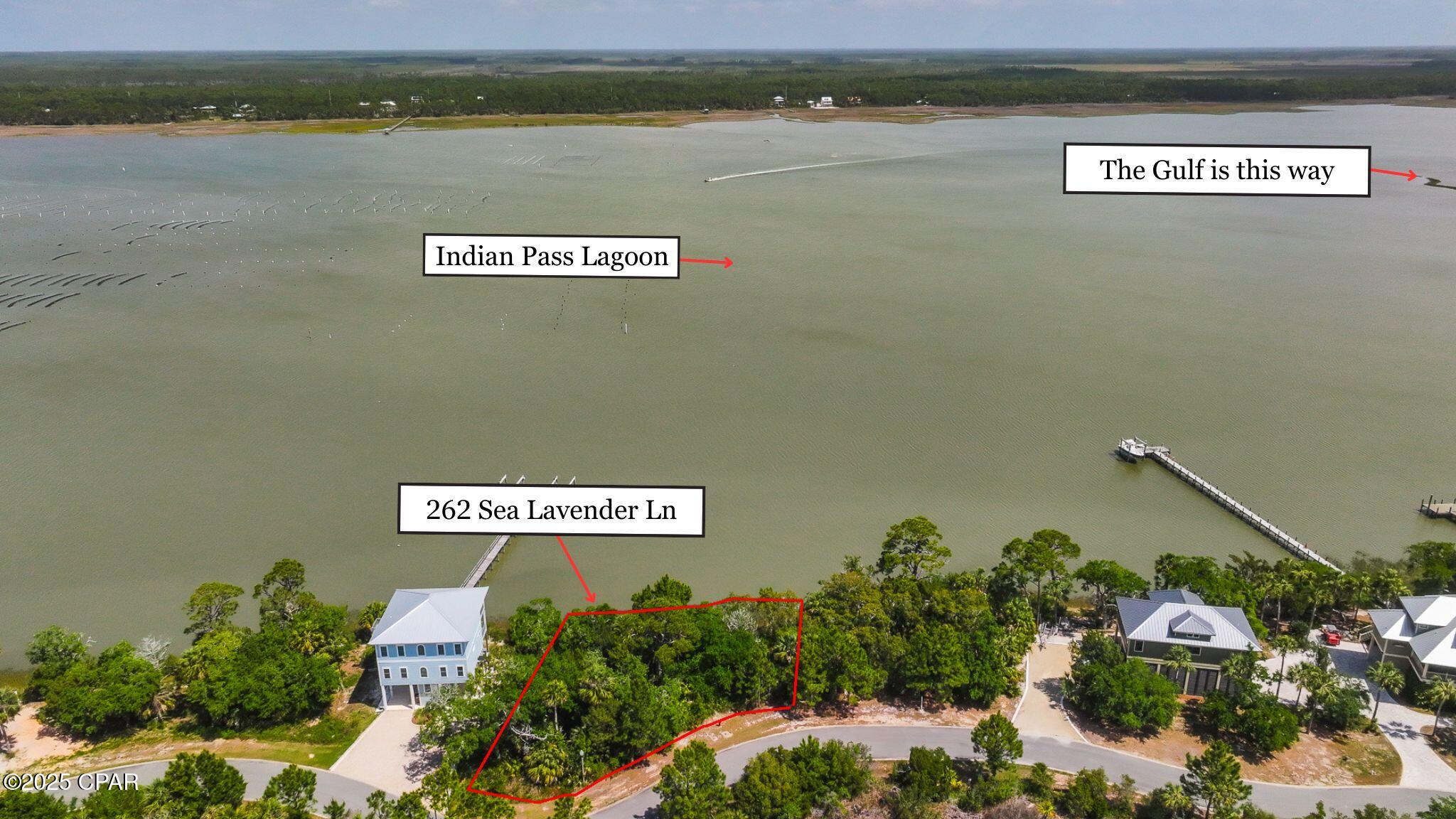 262 Sea Lavender Lane Lot 20