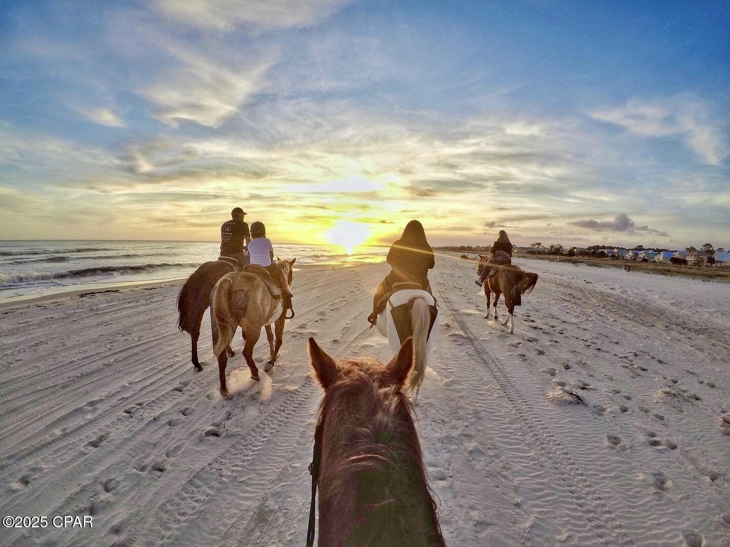 1048 Cape San Blas Road