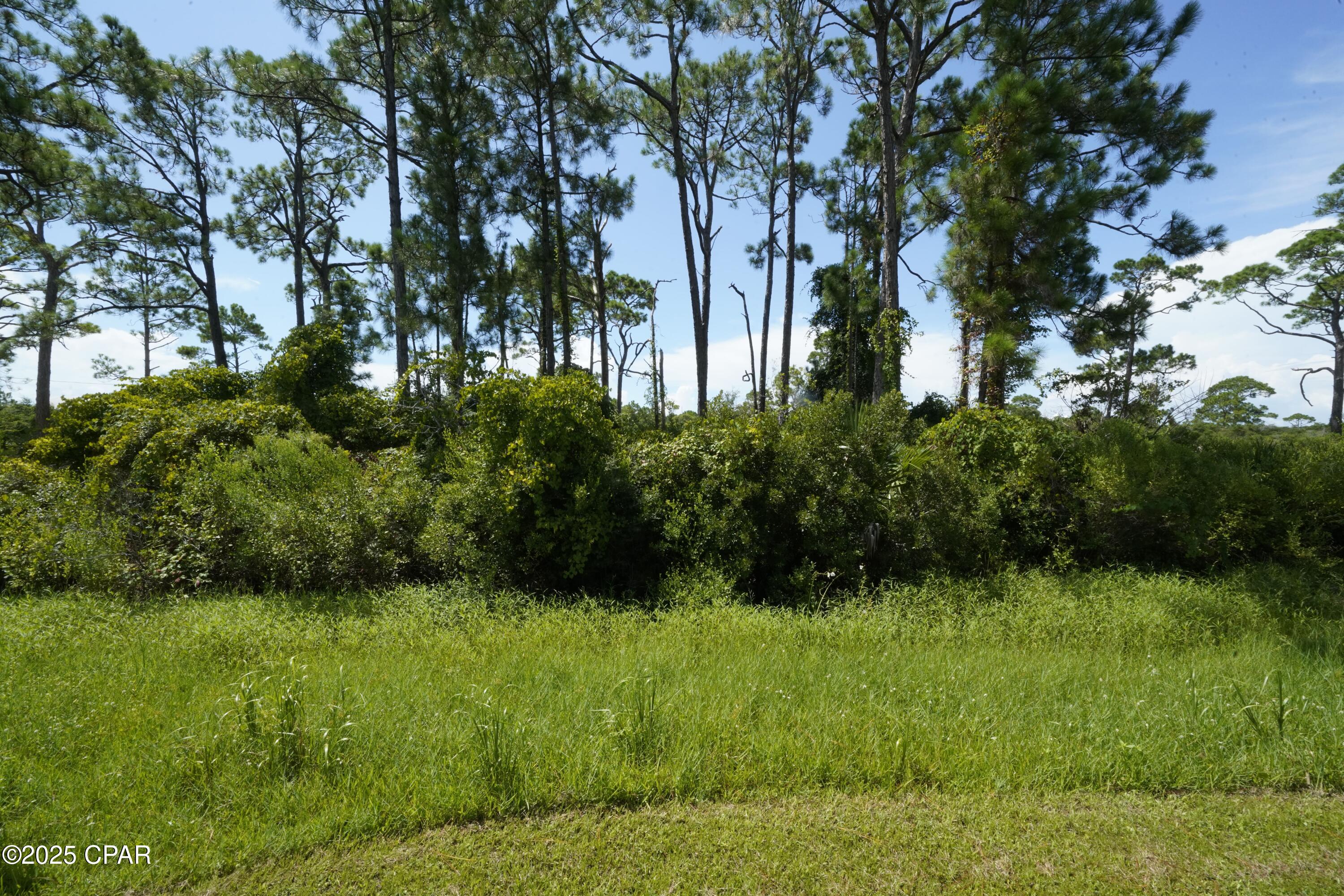 TBD Cape San Blas Road