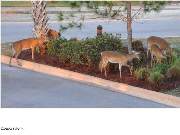 124 Pinnacle Drive, Port St. Joe