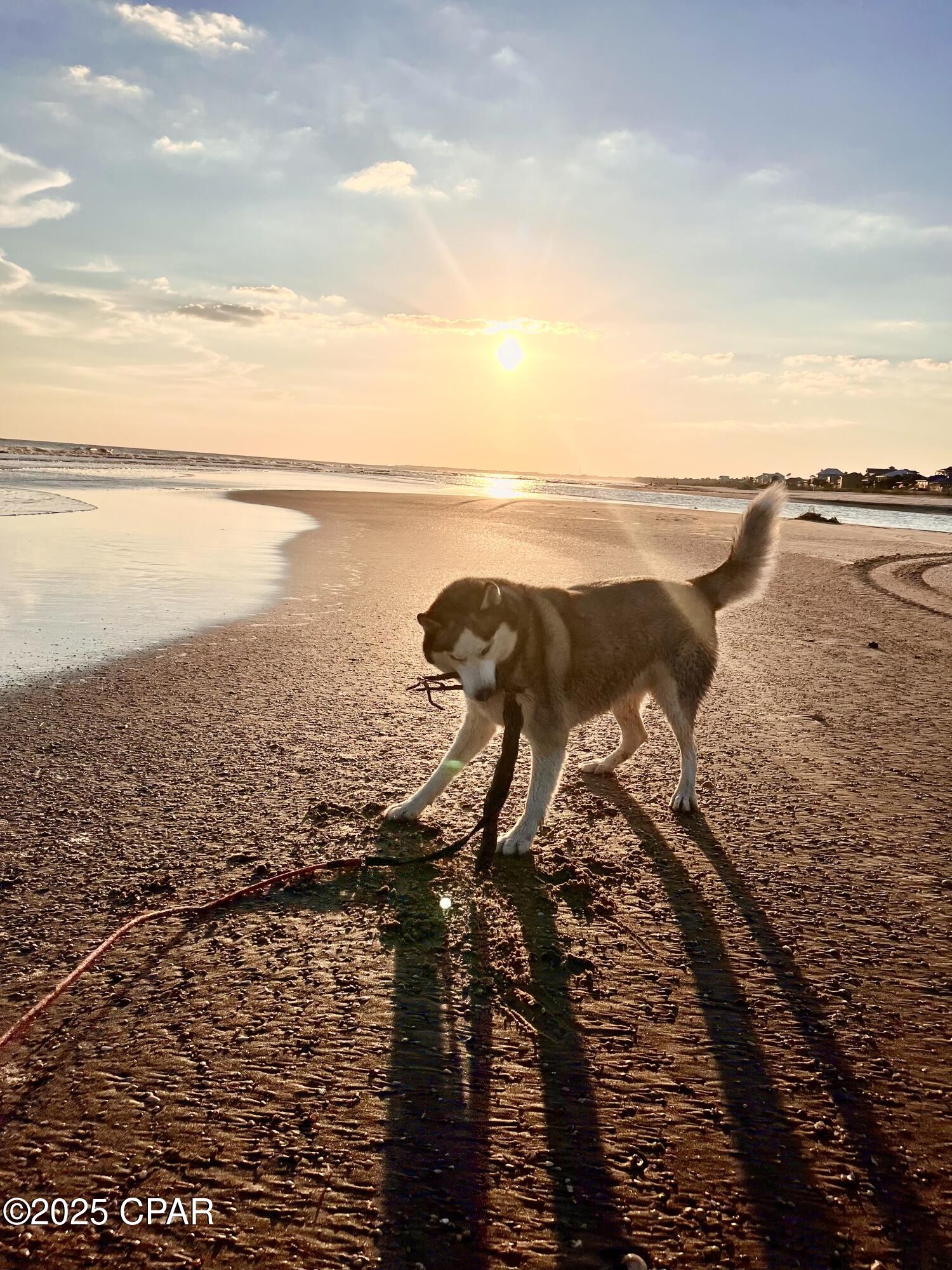 Lot 32 Las Palamas Lane, Port St. Joe