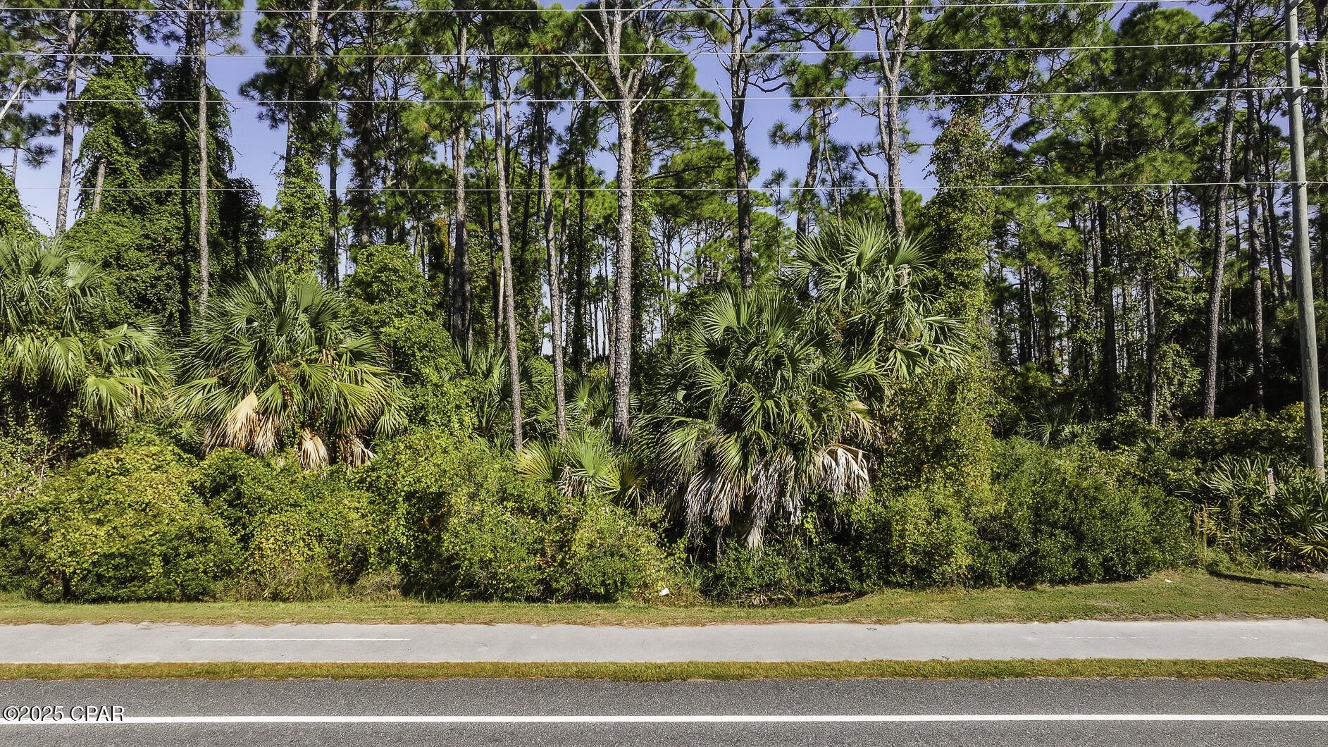 TBD Cape San Blas Rd, Port St. Joe