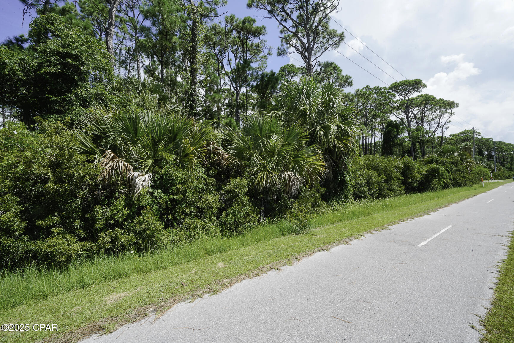 TBD Cape San Blas Rd, Port St. Joe