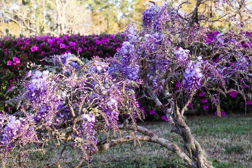 6641 Cedar Street, Wewahitchka