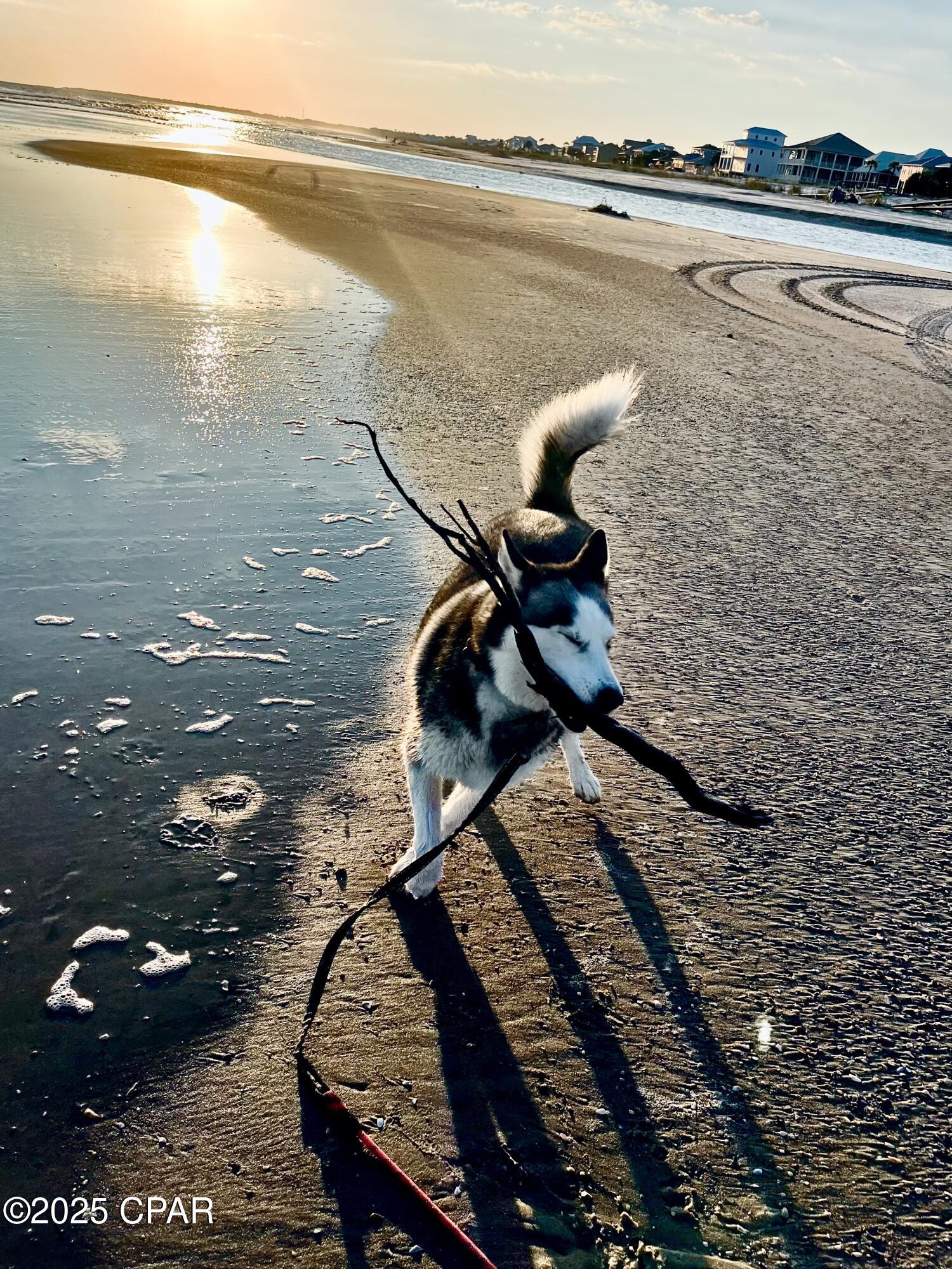 TBD Cr 30-A, Port St. Joe