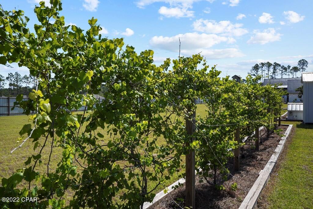 619 Jones Homestead Road, Port St. Joe