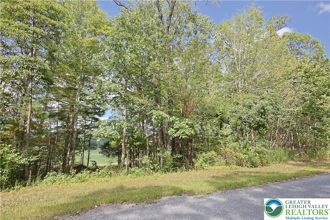 Eagle View Drive