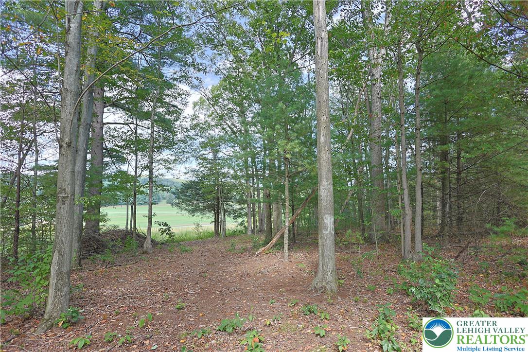 Eagle View Drive