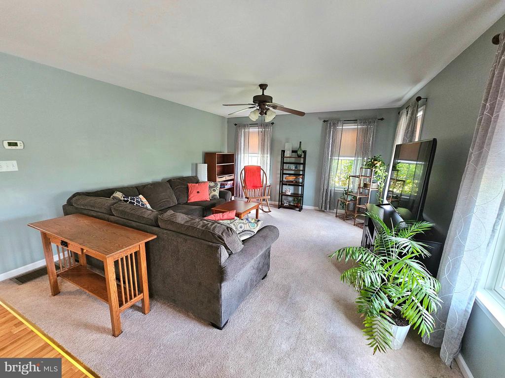 58 LIONS DRIVE