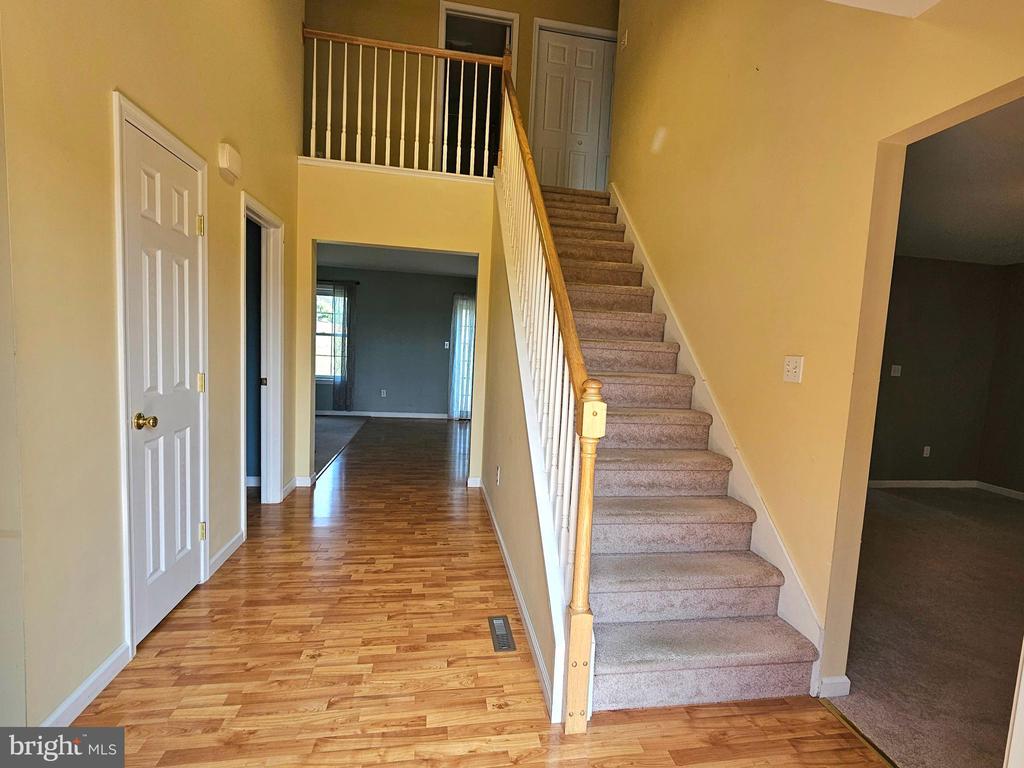58 LIONS DRIVE