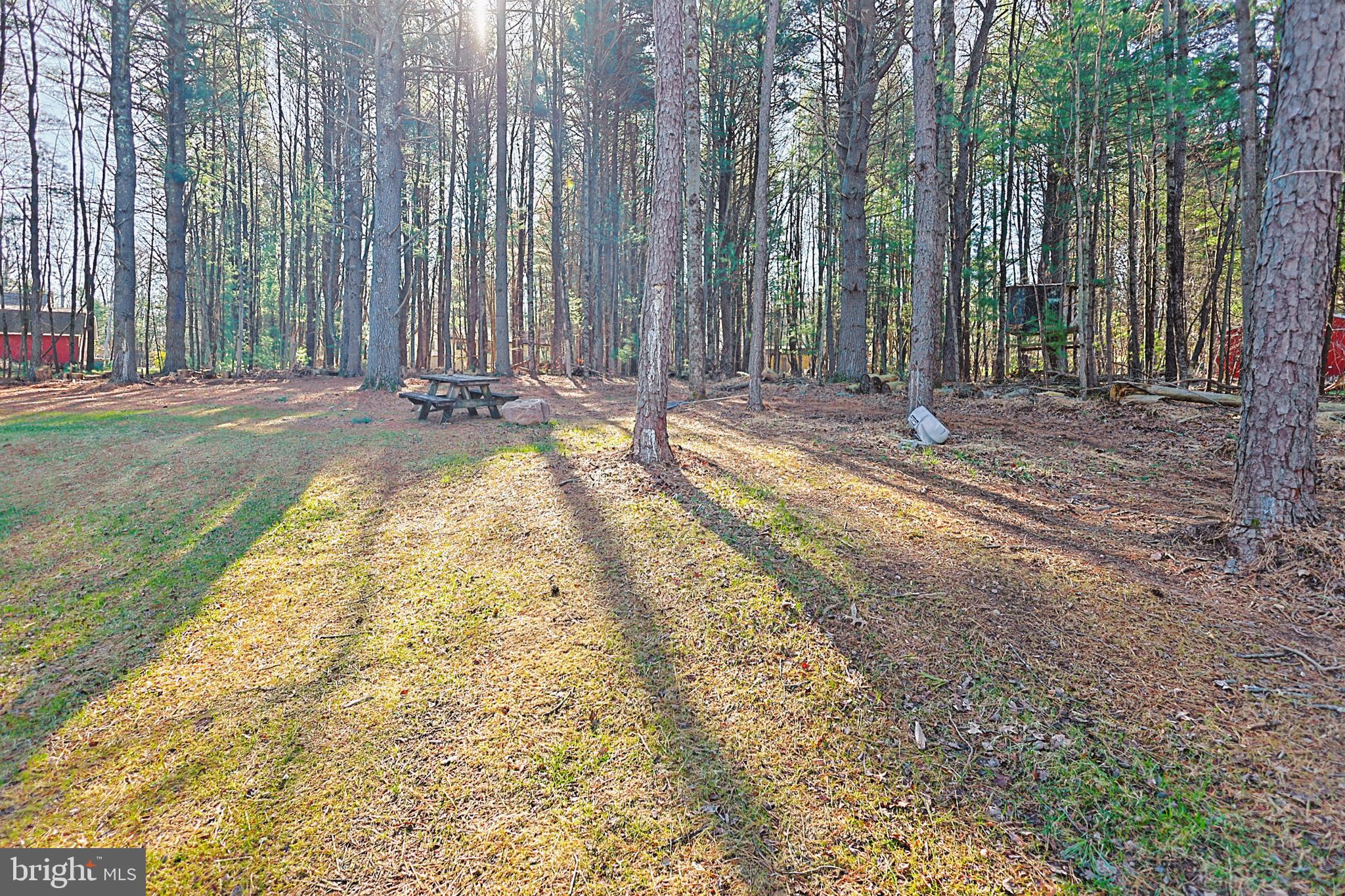 268 TURKEY RIDGE DRIVE