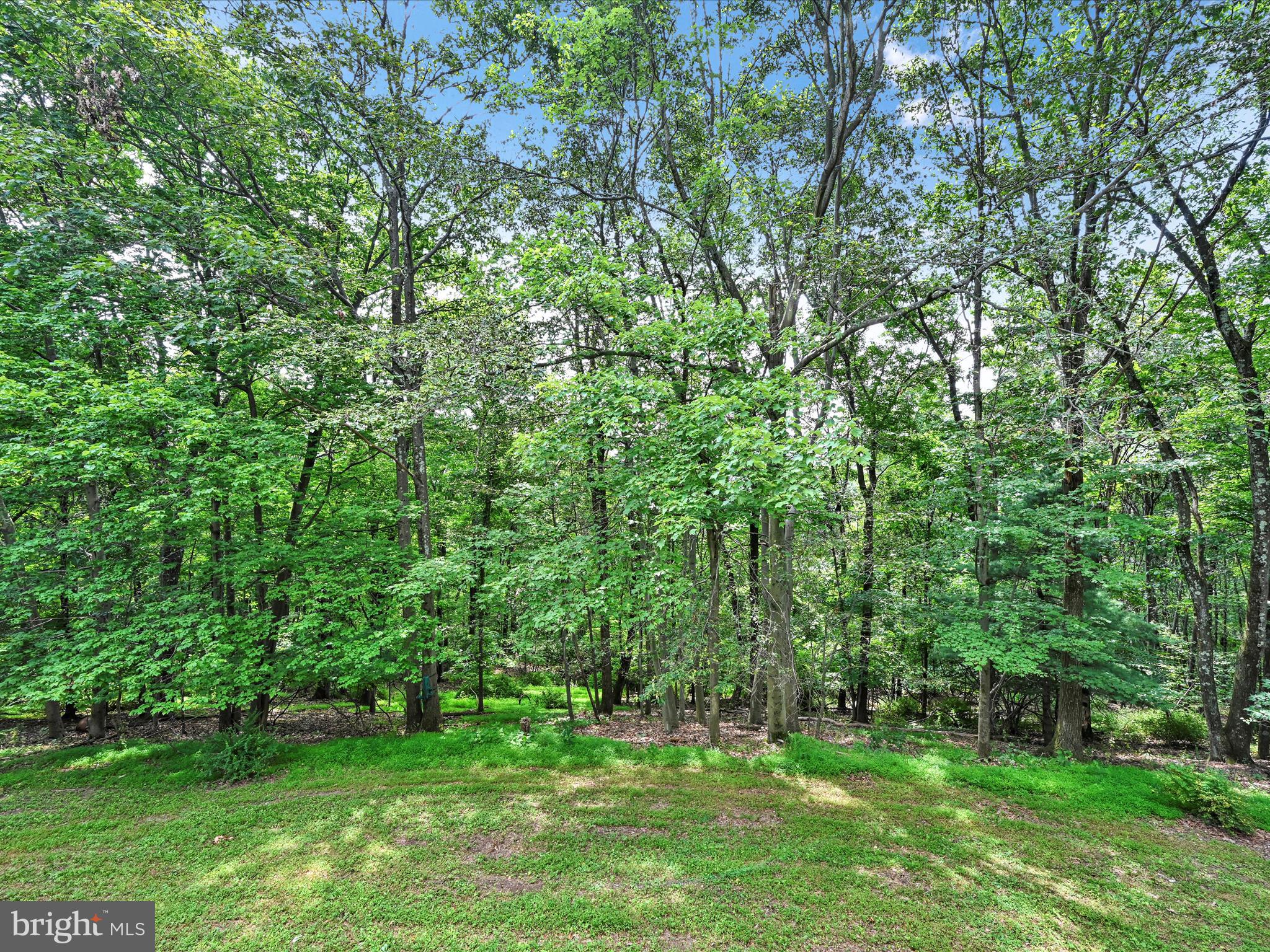 121 LONGVIEW DRIVE