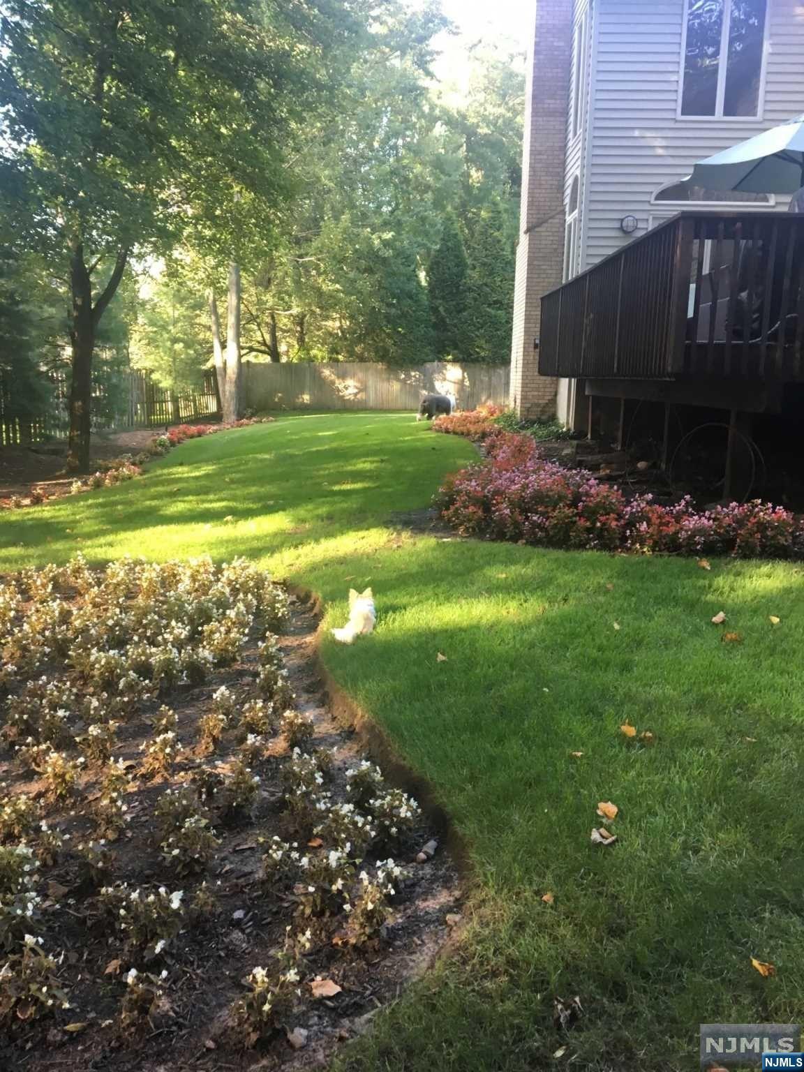8 Jason Woods Road