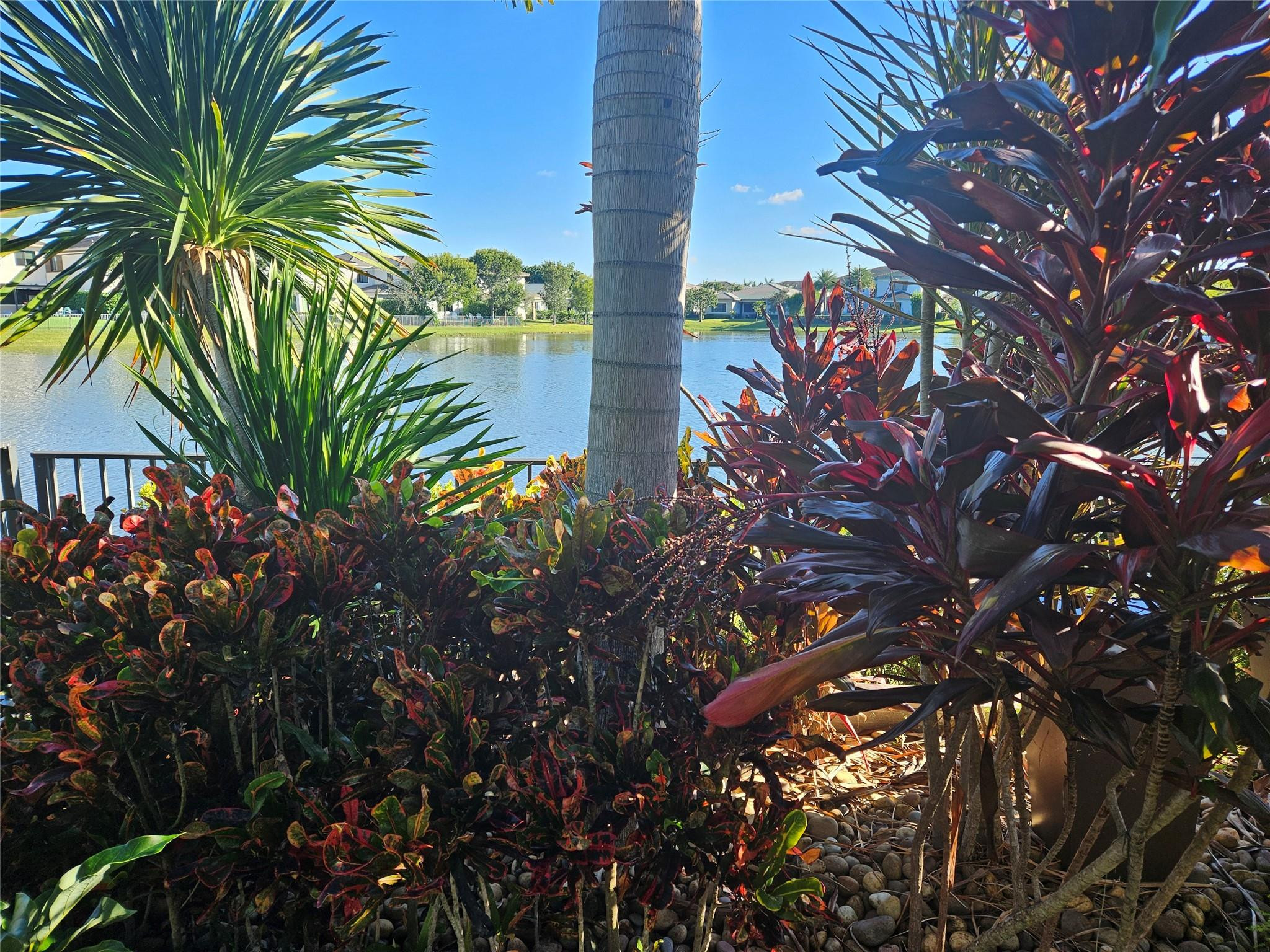 10768 Azul Lane