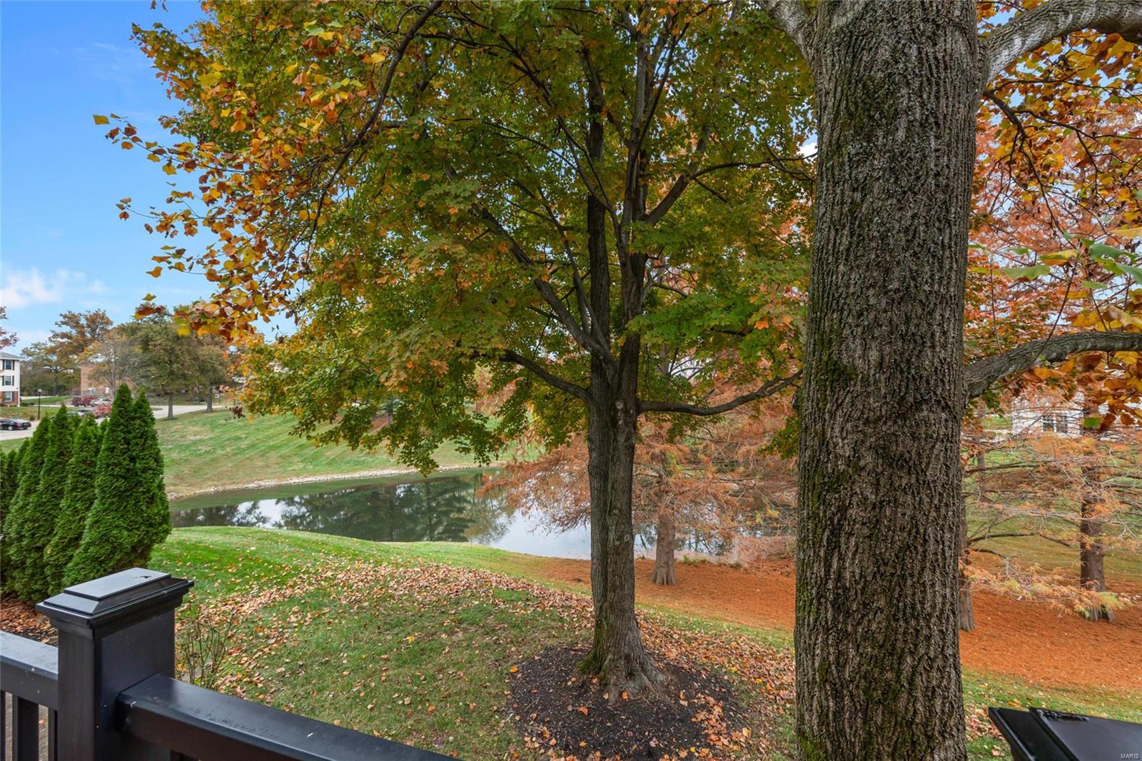 15636 Hedgeford Court