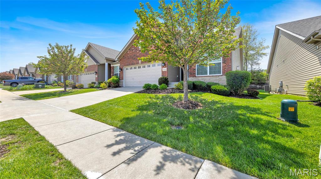 16152 Amber Vista Drive