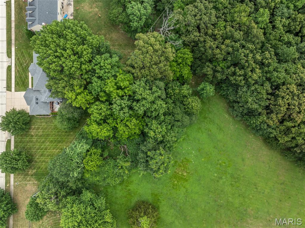 556 Autumn Bluff Drive