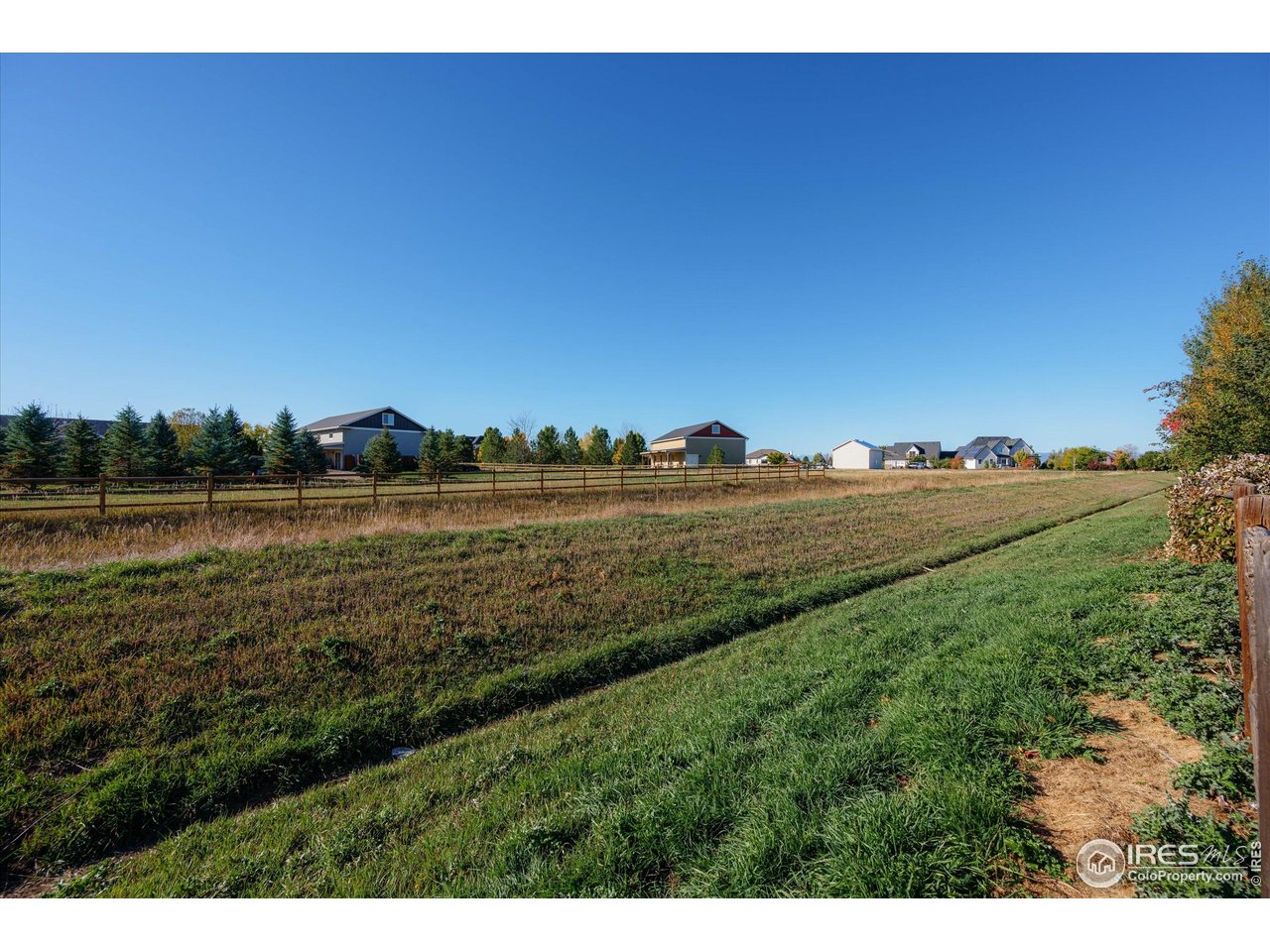 8313 Cherry Blossom Dr