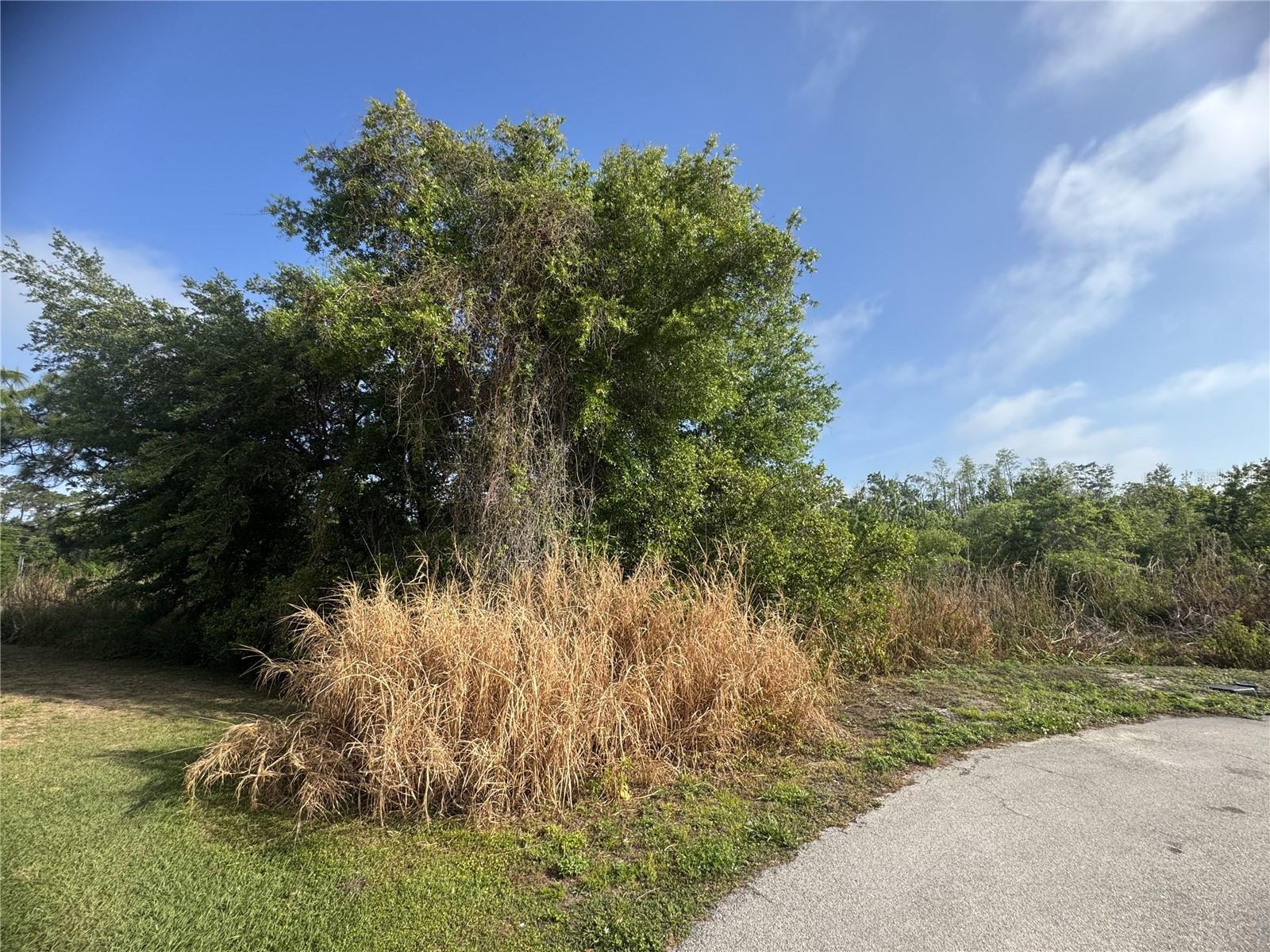 7540 WILLOW WISP DR W