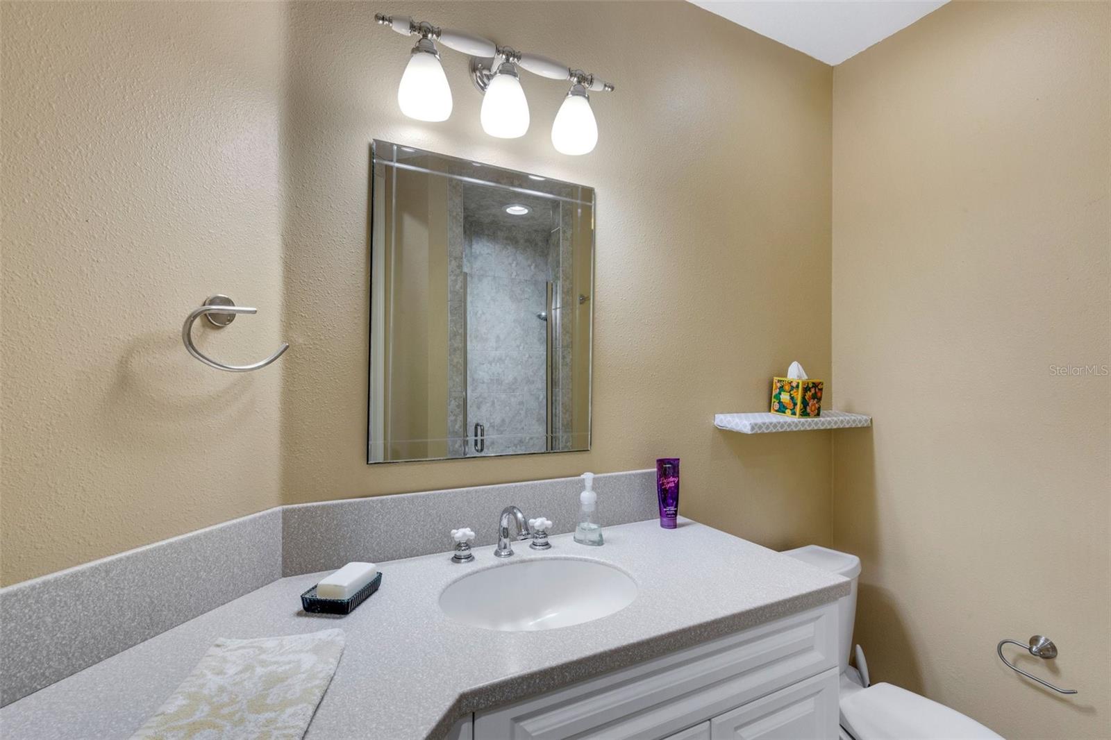 2643 WYNDSOR OAKS WAY