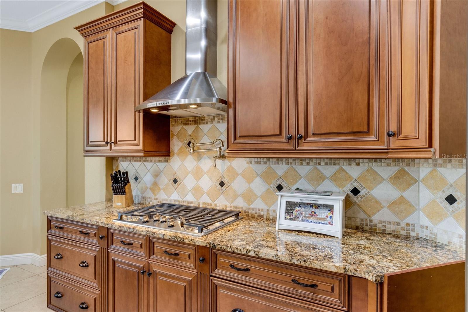 2643 WYNDSOR OAKS WAY