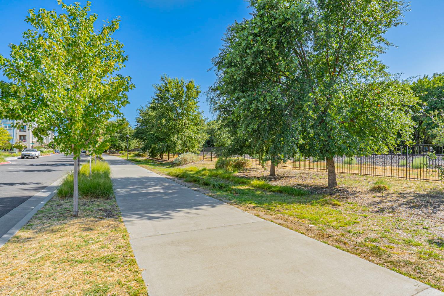 2248 Cannery Loop