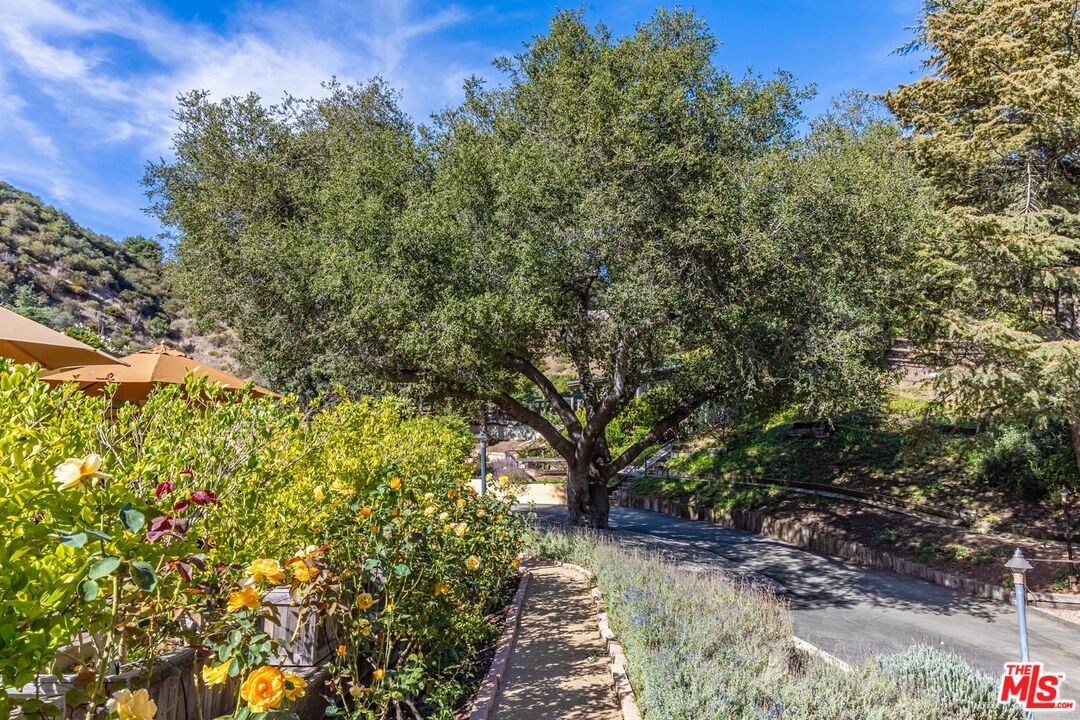 667 Crater Camp Dr