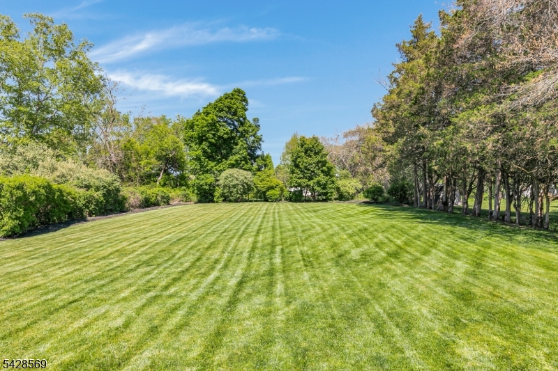 492 King George Rd