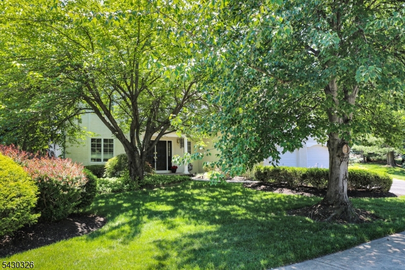 1 Vanderveer Dr