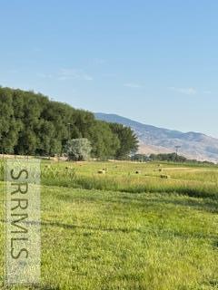 394 S Hwy 93