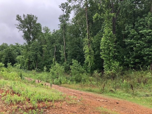 0 RALEIGH-MILLINGTON RD