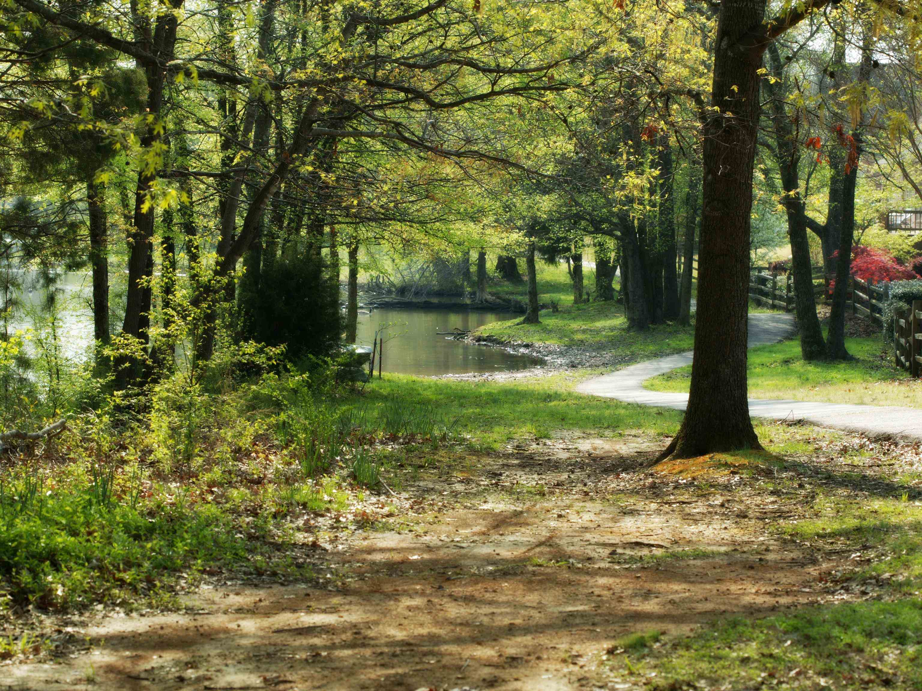 1612 WHISPER EDGE CV