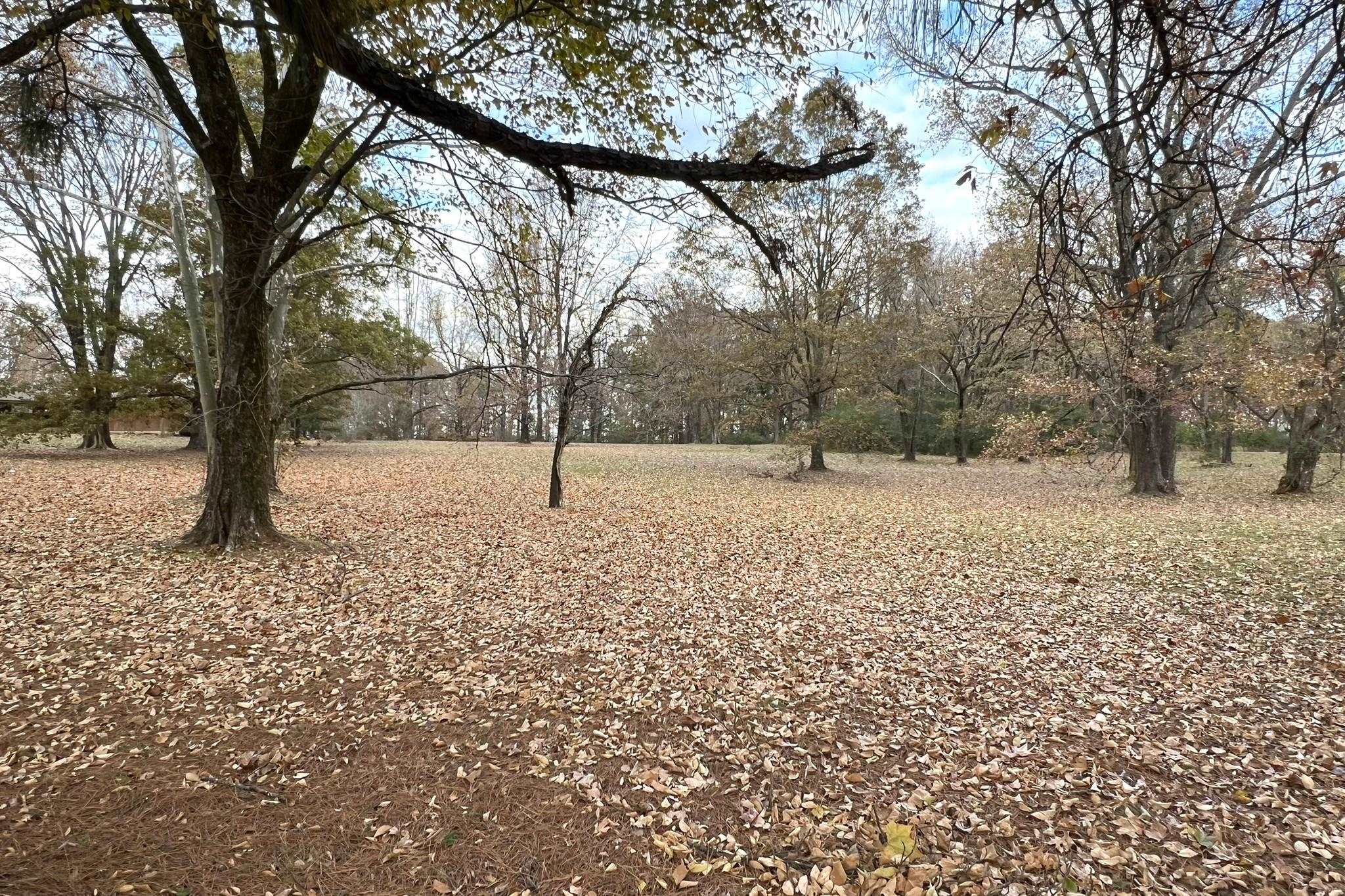0 MACON RD