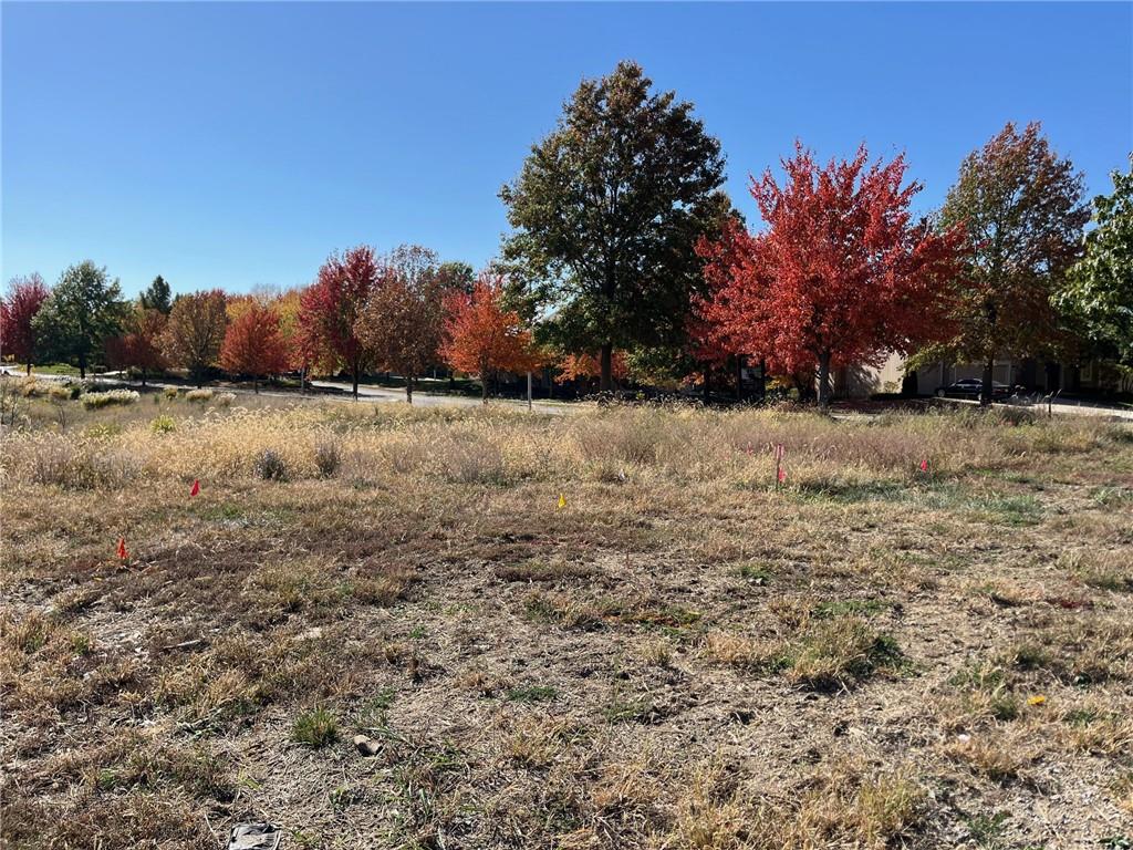 10115 N Kansas Court