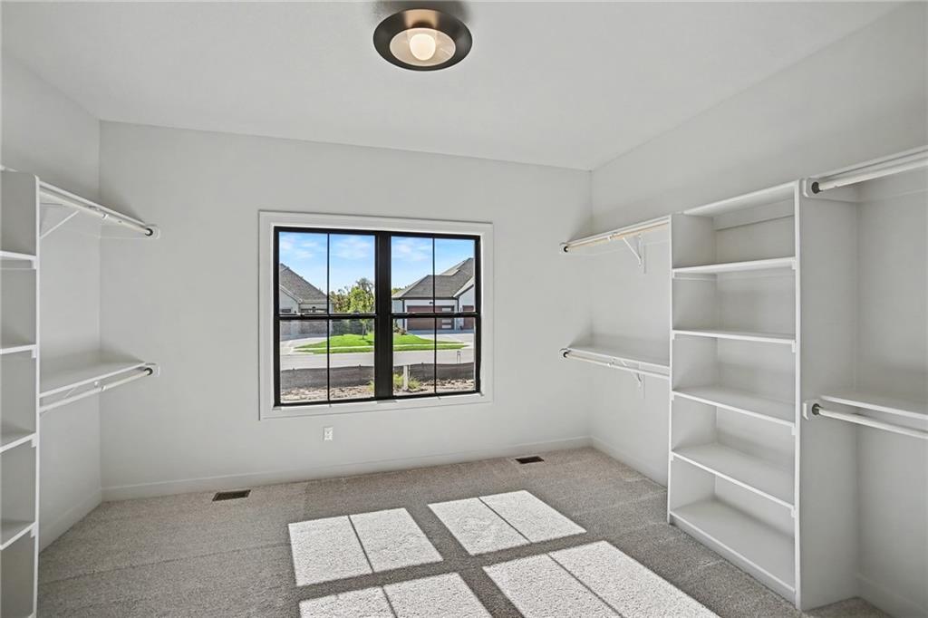 Empty walk-in closet with built-in shelving, clothes rods, gray carpet, and a large window.