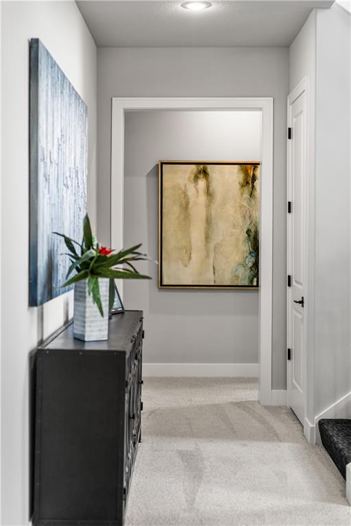 Carpeted hallway with a dark console, potted plant, and framed abstract artwork.