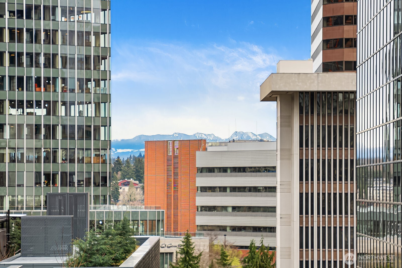 500 106th Avenue NE Unit: 1009