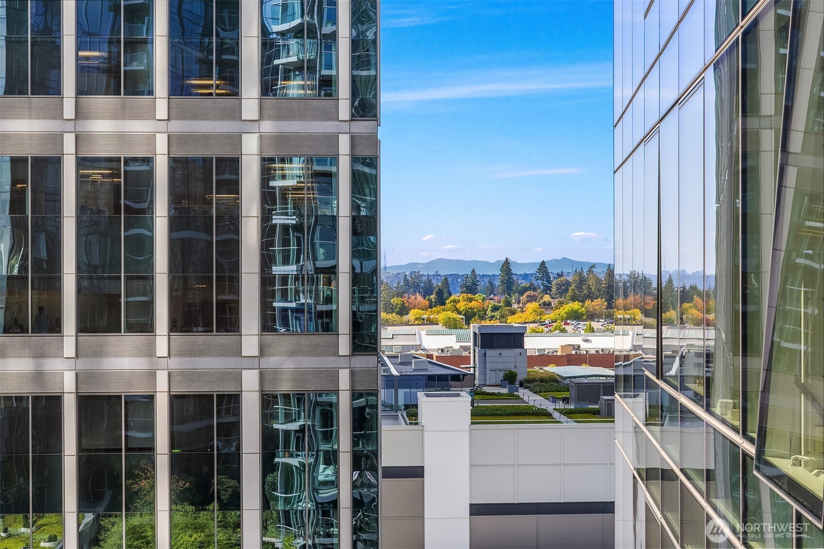 500 106th Avenue NE Unit: 1313