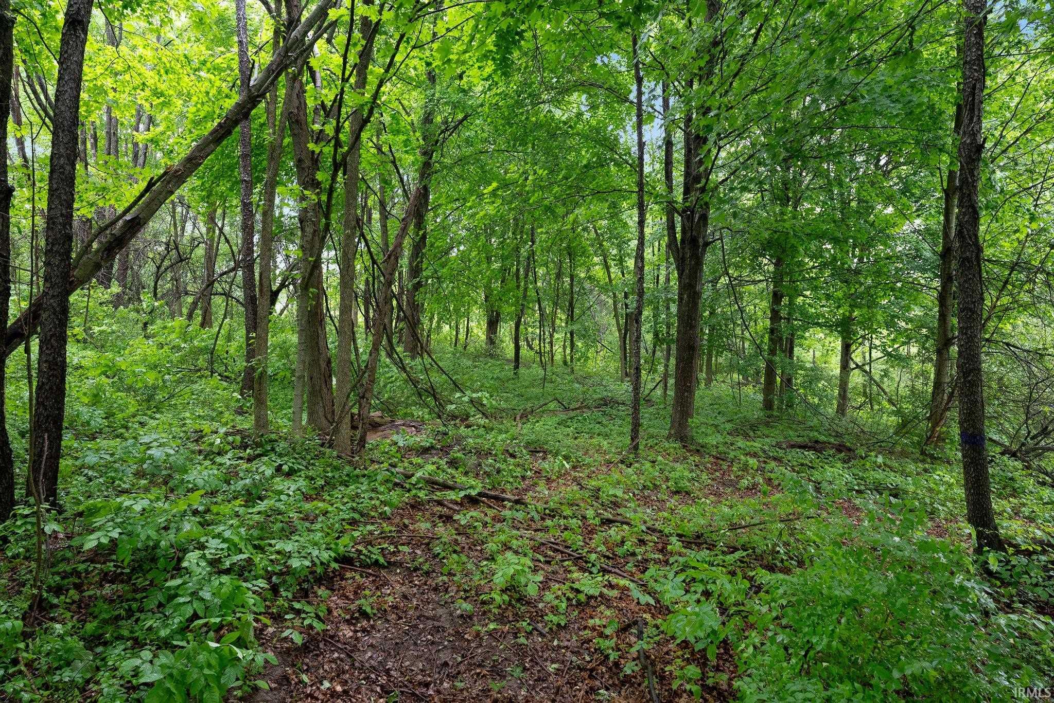 841 S State Road 5 Road