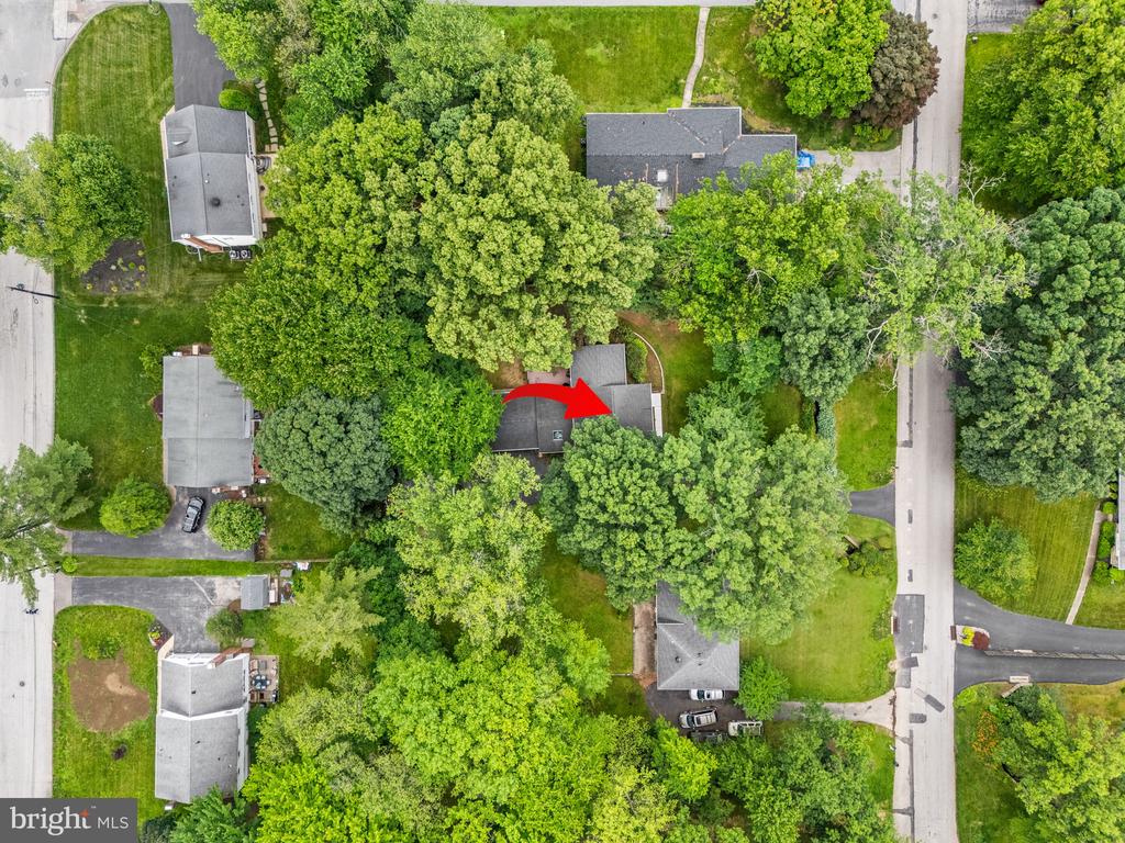 403 SCOTT LANE