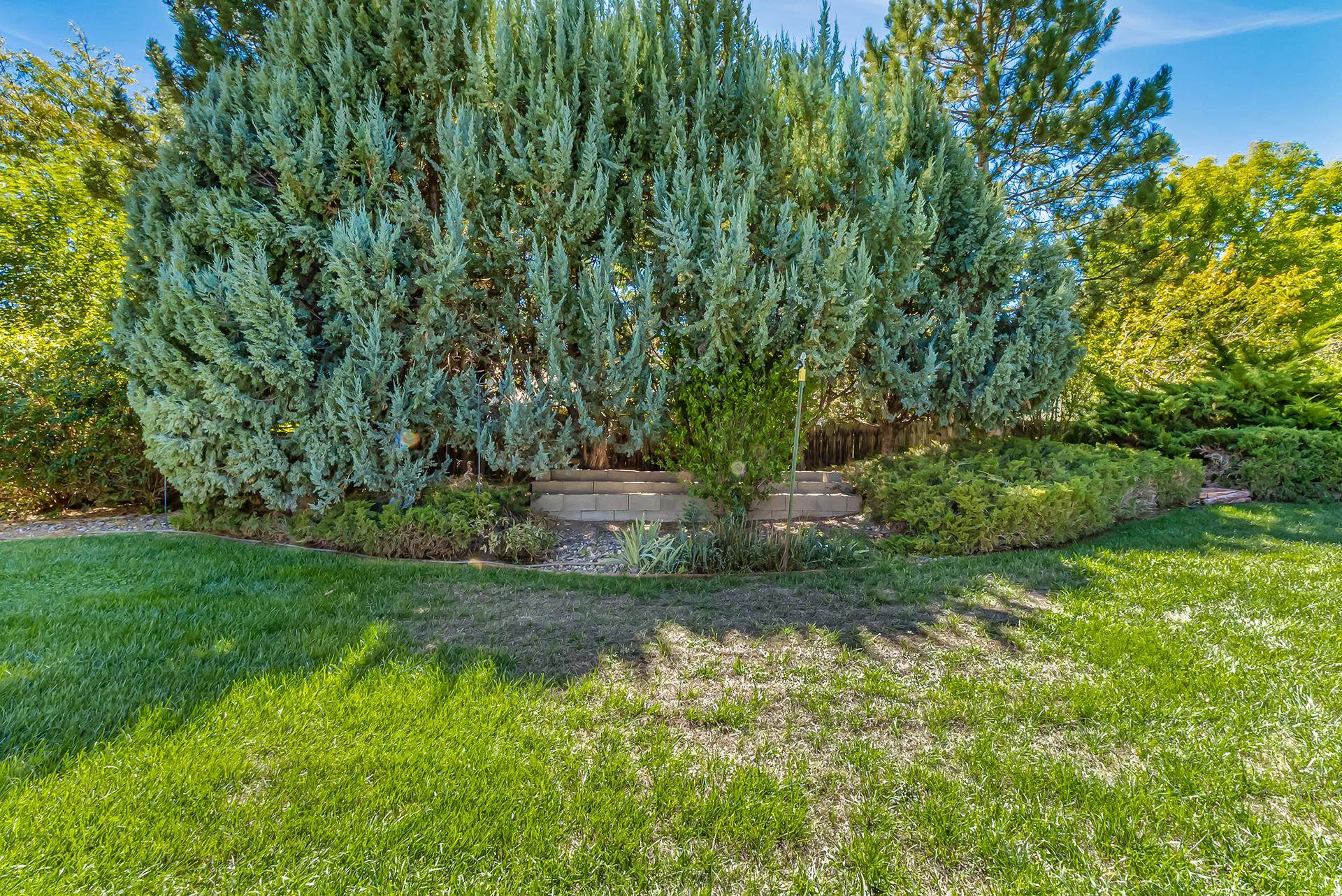 Landscaped yard with mature evergreens, a raised stone planter, and a broad green lawn.