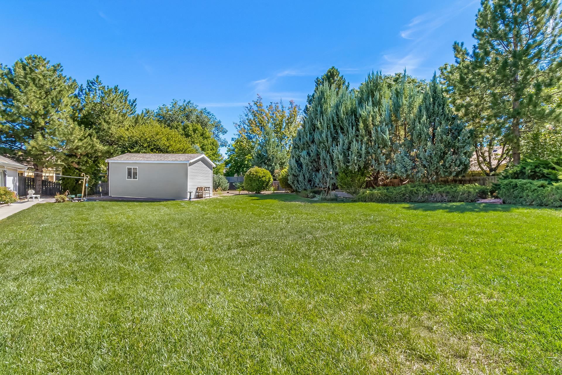 Spacious grassy backyard with mature trees, evergreen landscaping, and a small gray outbuilding.