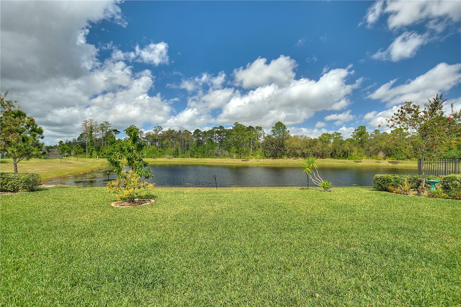 17988 PASSIONFLOWER CIR