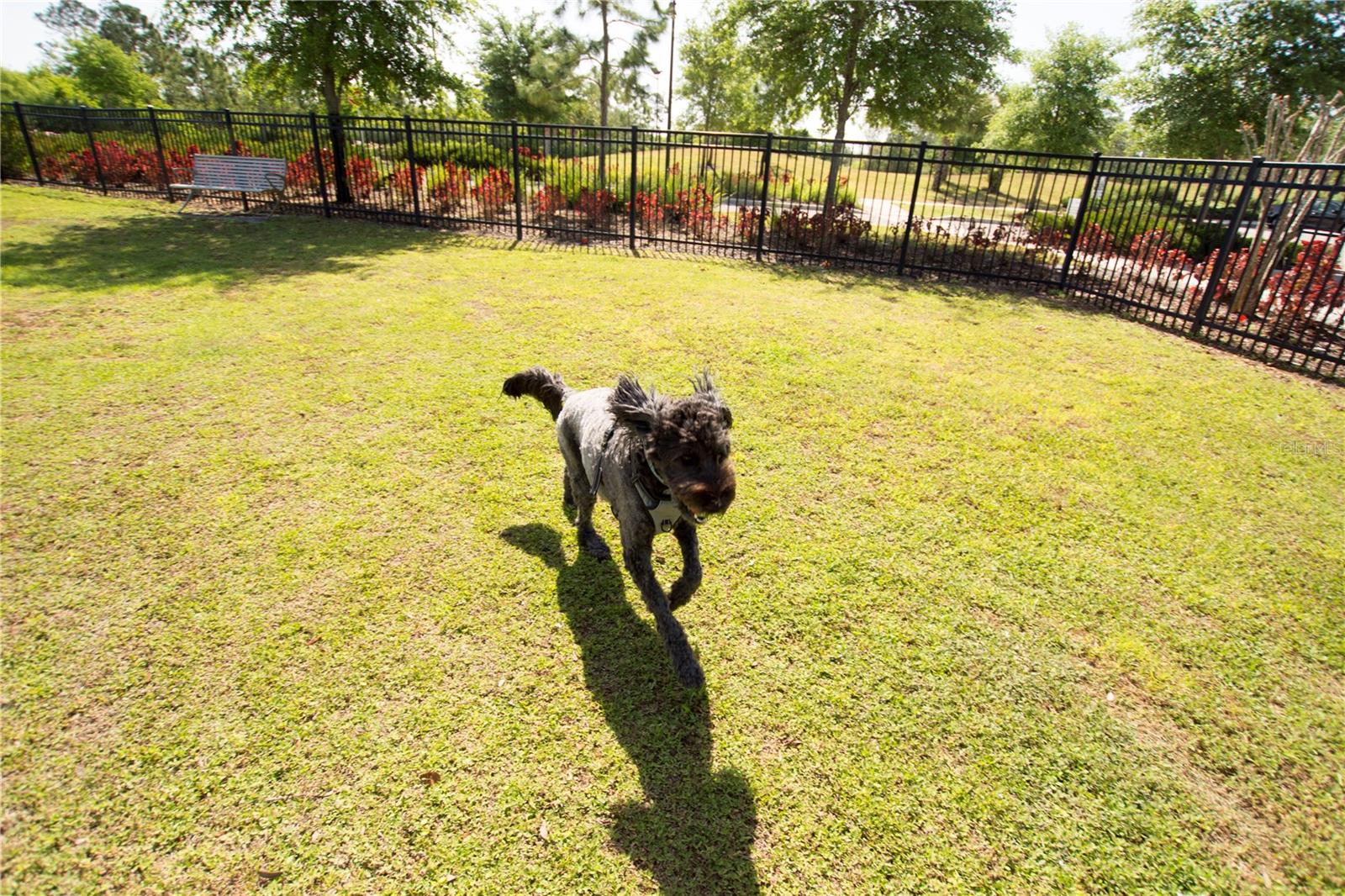 17988 PASSIONFLOWER CIR