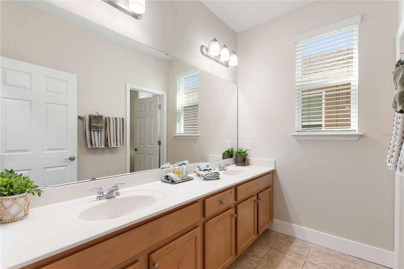 12136 CANYON SUN TRL