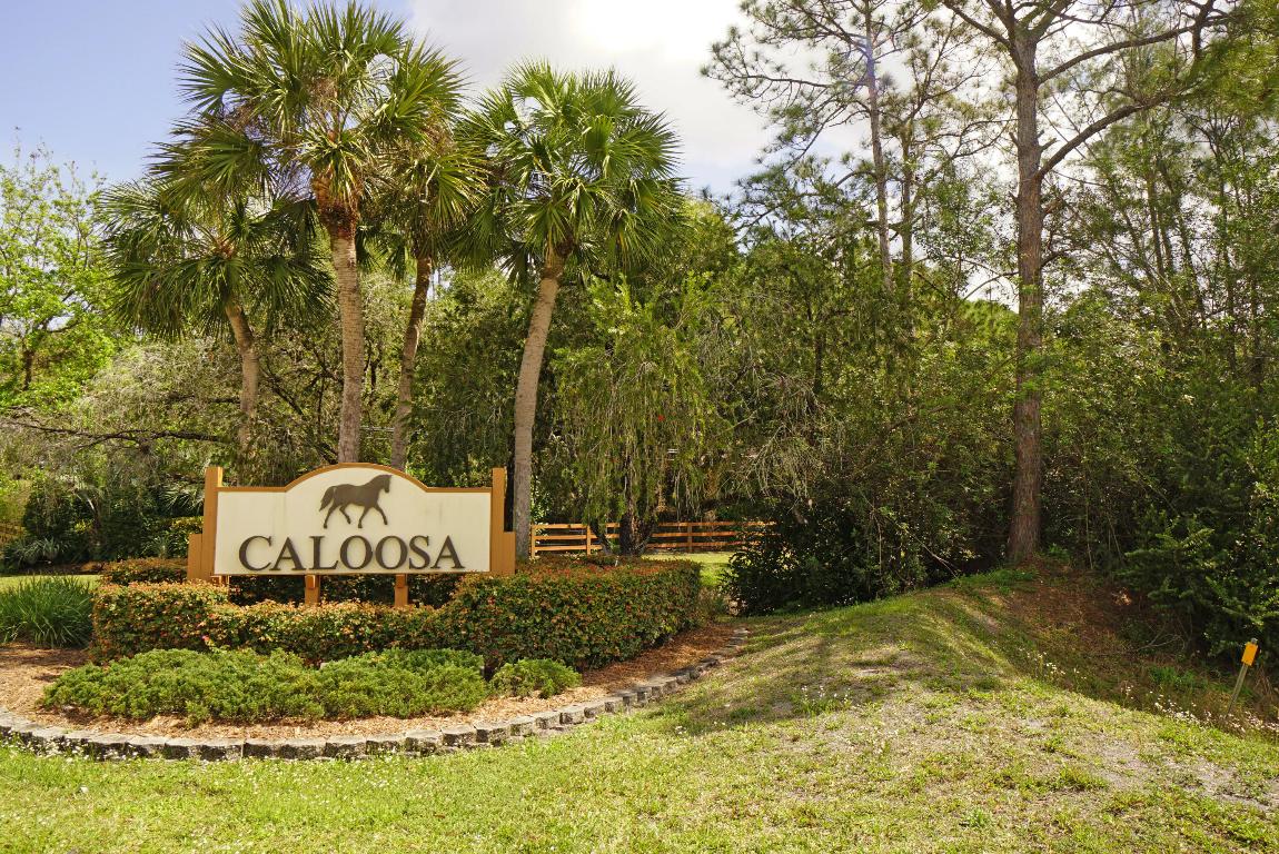 14704 Black Bear Road