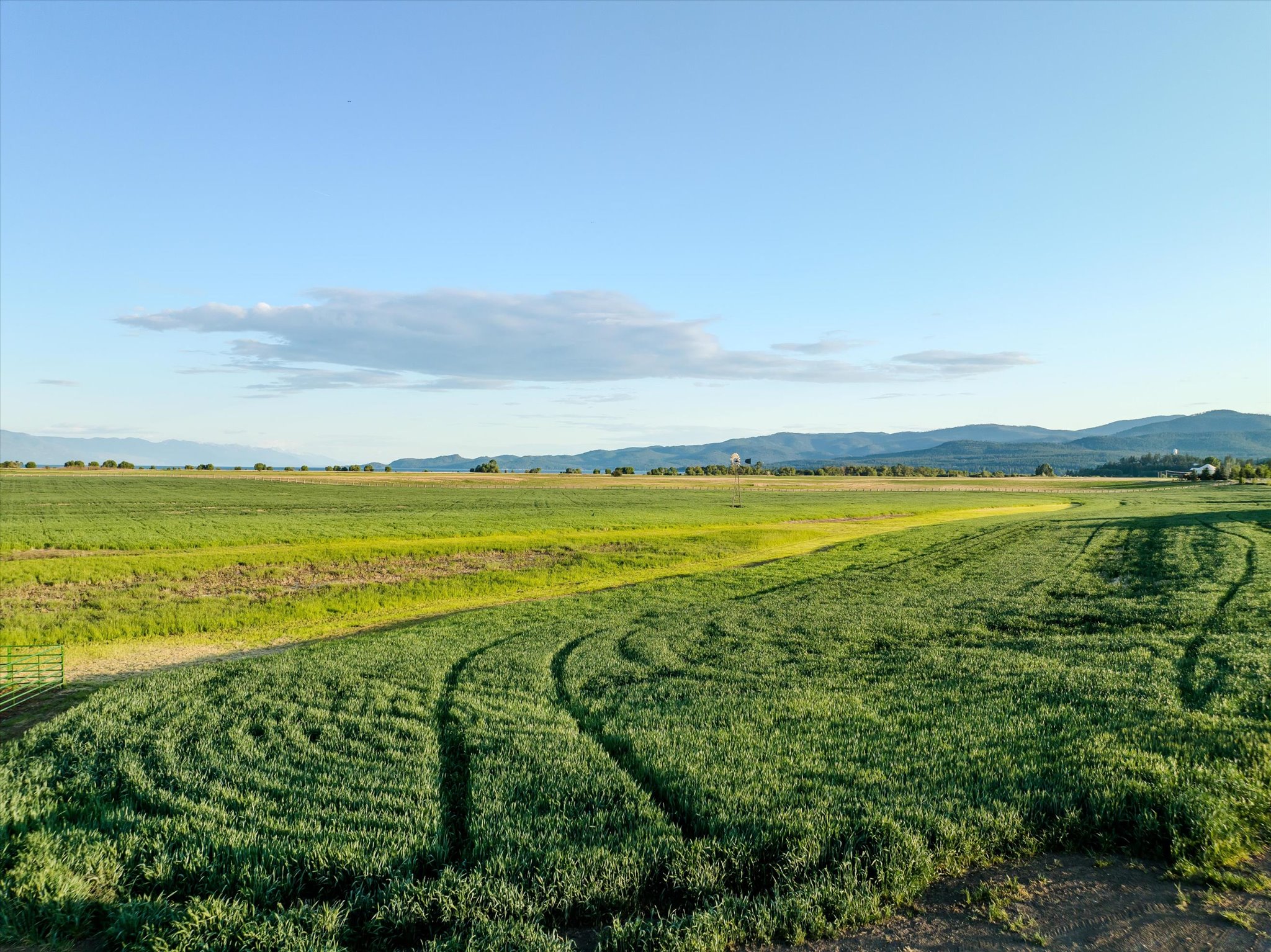 770 Highway 82