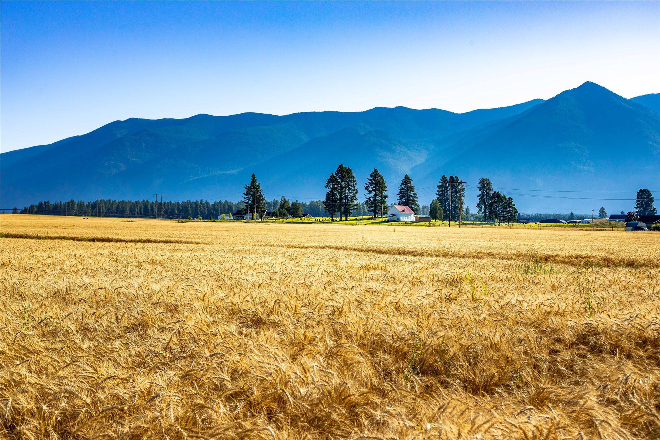 1200 Fairview Cemetery Road 1200