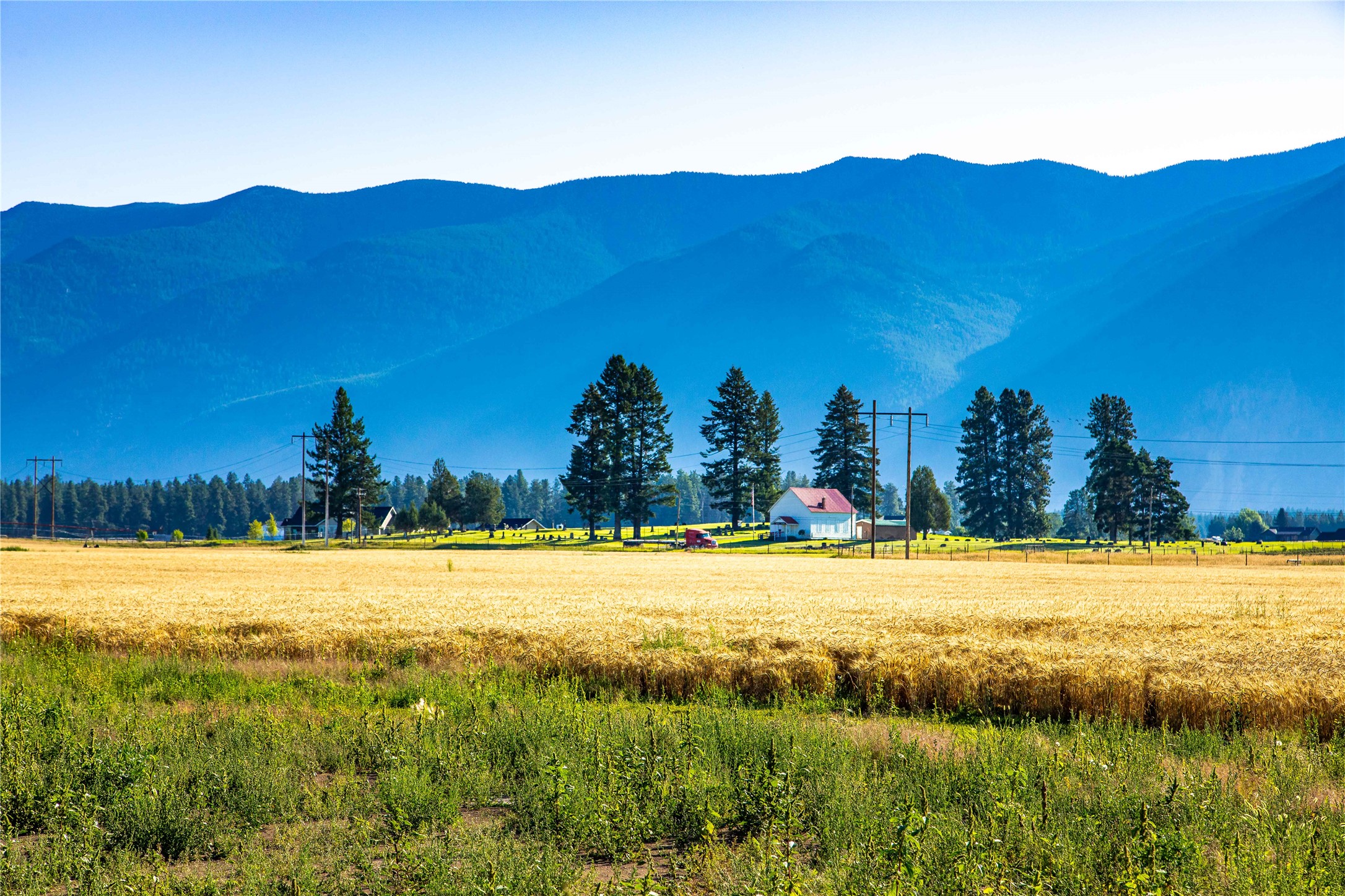 1200 Fairview Cemetery Road 1200